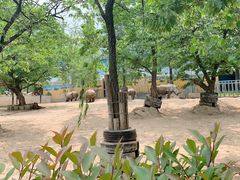 -西安秦岭野生动物园