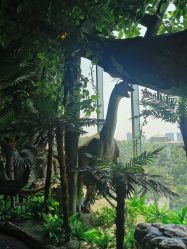 -恐龙探索乐园(磁器口店)