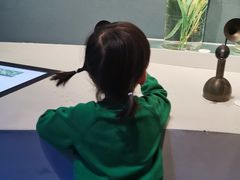 -中国湿地博物馆