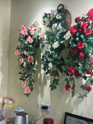 -变美丽半永久纹眉连锁·机器野生眉•洗眉