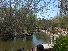 -石家庄市动物园