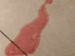 下班进门就发现有一滩血迹&nbsp;一下就懵了～-北京恒爱动物医院(清景园分院)