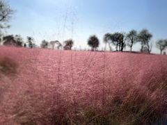 -汉长安城未央宫国家考古遗址公园