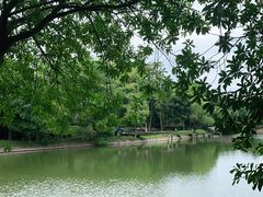 -象山森林公园