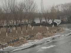 -大兴滨河森林公园