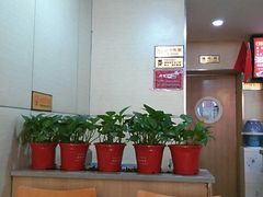 大堂-焦记老潼关肉夹馍(东五路店)