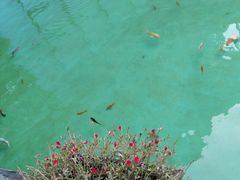 -南通洲际绿博园