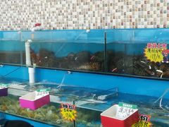 -港畔赶海蒸汽海鲜烧烤自助(仙螺岛店)