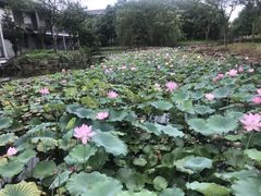 -绍兴鉴湖君澜大酒店