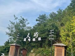 -千岛湖天屿景区