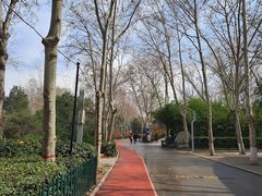 -西安市长乐公园