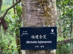 -深圳仙湖植物园