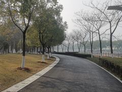 -月湖风景区