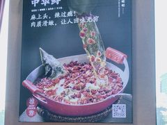 -峨嵋酒家 南北川菜 优选烤鸭(广渠路店)