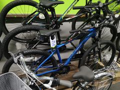 -道路口单车爱瓦士dahon大行