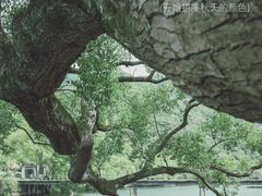 -上坦村