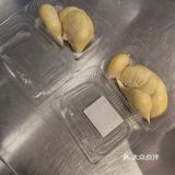 快50出肉率的榴莲被我遇到了