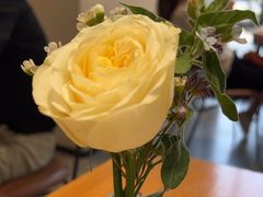 -FreshCo鲜途·西厨(大良店)
