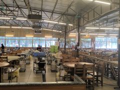 -百利鸽王(紫薇路店)
