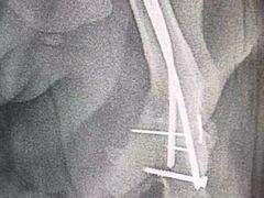 -骐奇宠物诊疗中心(南亭公路店)