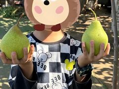 -韩士良采摘园