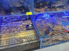 -77号渔船·蒸海鲜青岛菜(积米崖店)