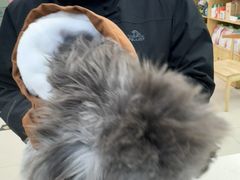 -全心全意连锁动物医院·微创中心·内科急重症·心脏专科(丰管路店)
