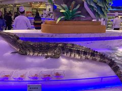 -澜悦港海鲜体验主题餐厅