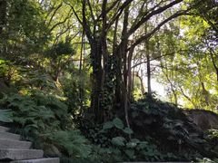 -乌山风景区