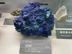 -中国地质博物馆