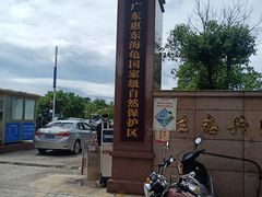 -广东惠东海龟国家级自然保护区