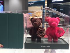 -ROSEONLY诺誓(广州K11店)