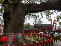 -新安江山水画廊风景区