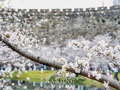 -南京城墙景区