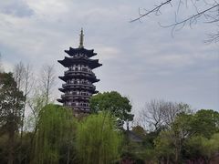 -洋湖国家湿地公园