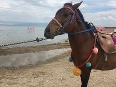 -青海湖国家重点风景名胜区