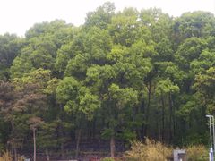 -南京老山国家森林公园