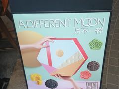 -星巴克臻选(深圳罗湖万象城店)