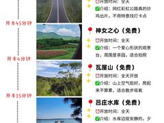 -紫藤园·天目湖大鱼头(南山竹海店)