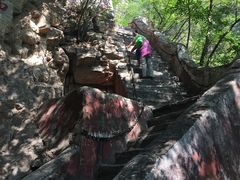 -北京上方山国家森林公园