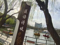 -莲湖公园