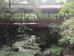 -藏龙百瀑风景区