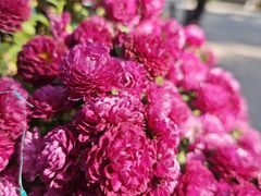 -共青国家森林公园-售票处