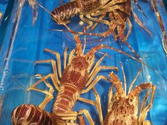 -渔夫蒸鲜(世奥湾店)