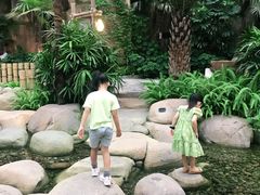 -杭州开元森泊度假乐园