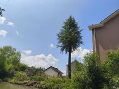 -动邦皮划艇·桨板·独木舟·团建户外运动俱乐部