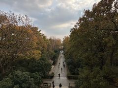 -灵谷景区
