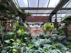 -呀路古热带植物园