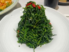 红果枸杞苗-清真·宁夏印象·盐池滩羊肉体验店(江宁路店)