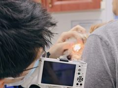-美联众合动物医院·24h转诊中心